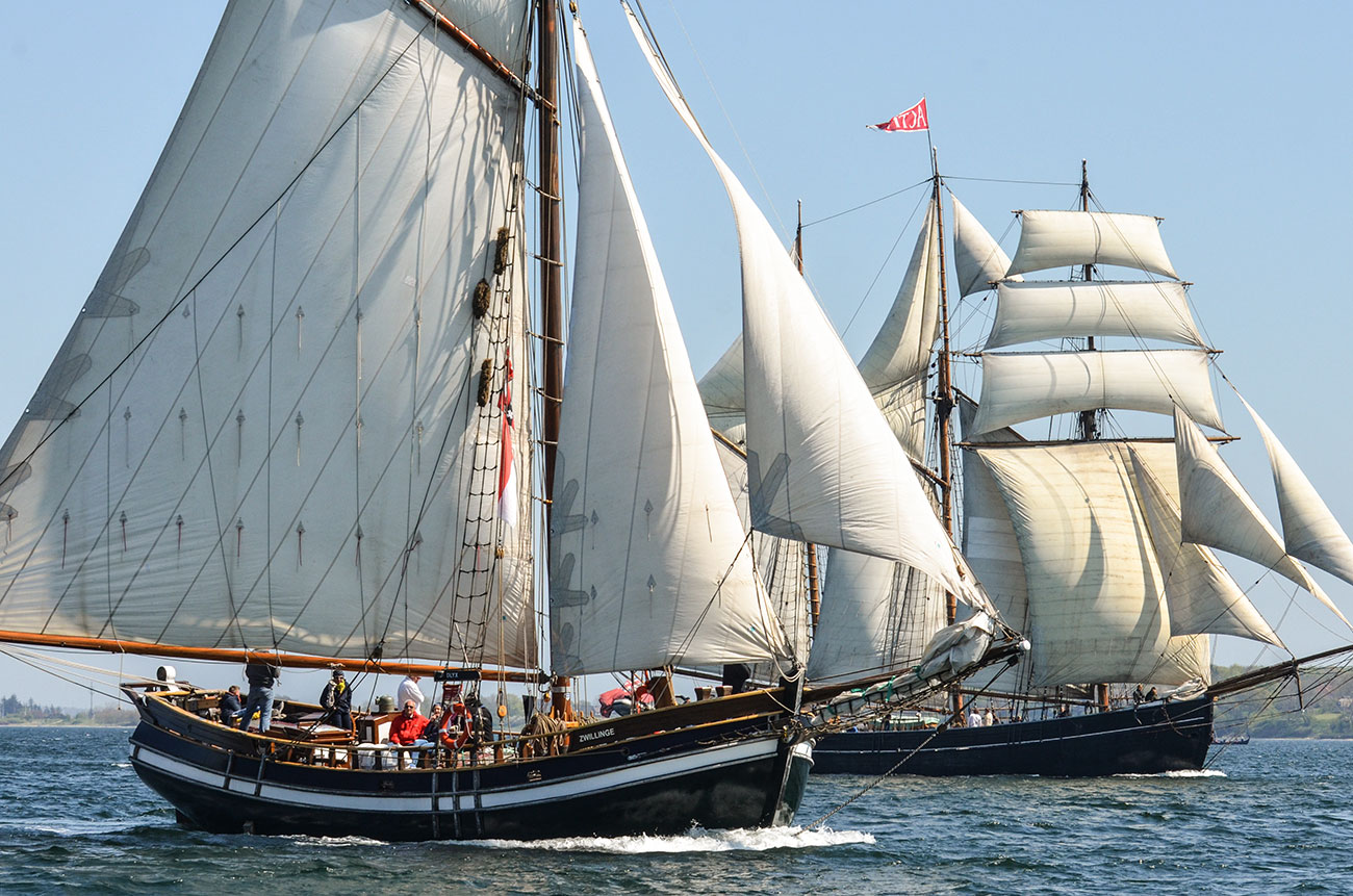 Traditionssejlere og gaffelskonnerter på Flensborg Fjord under Rom-Regattaen